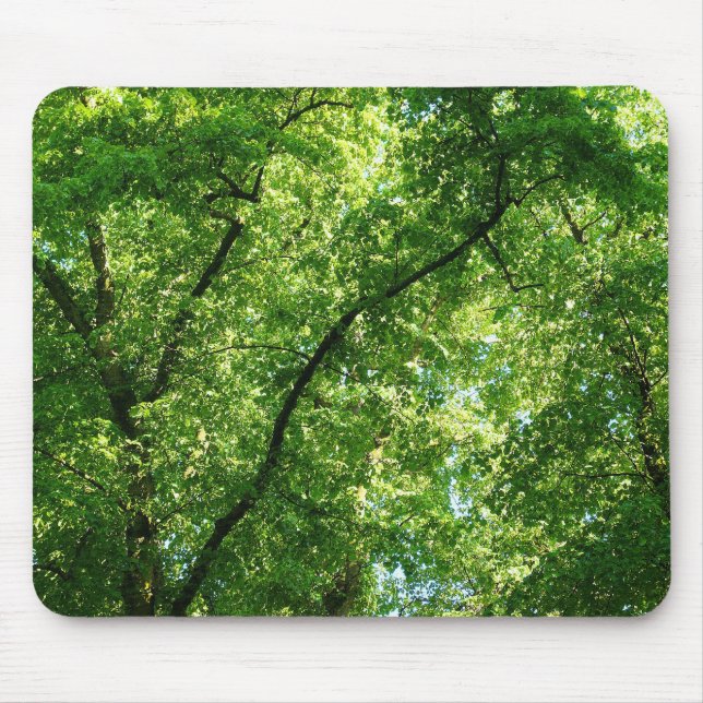Mousepad Árvores de Verão II (Frente)