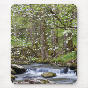 Mousepad Árvores Dogwood   Grande Montanha Fumegante, Tenne