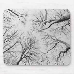 Mousepad Árvores Leafless na madeira de Thiepval