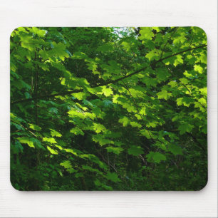 Mousepad Árvores na Primavera. Bute Park, Cardiff. Gales