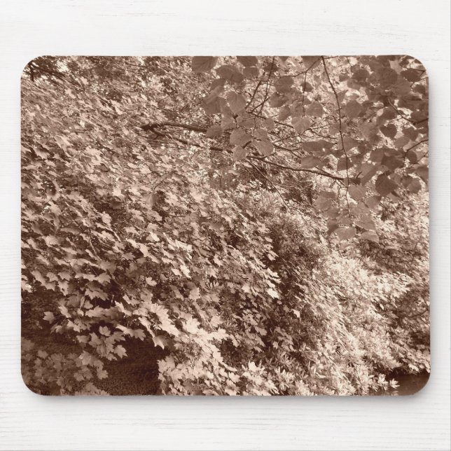 Mousepad Árvores pelo Canal (Frente)