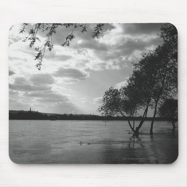 Mousepad Árvores pelo lago B&W (Frente)