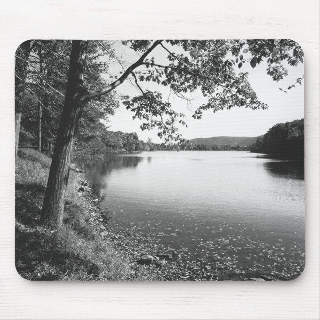 Mousepad Árvores pelo rio B&W (Frente)
