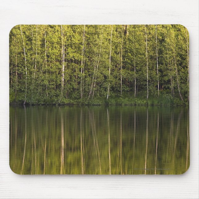 Mousepad Árvores refletidas na água (Frente)