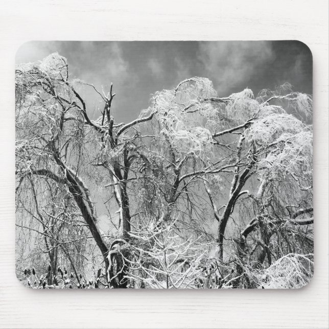 Mousepad árvores vestem inverno (Frente)