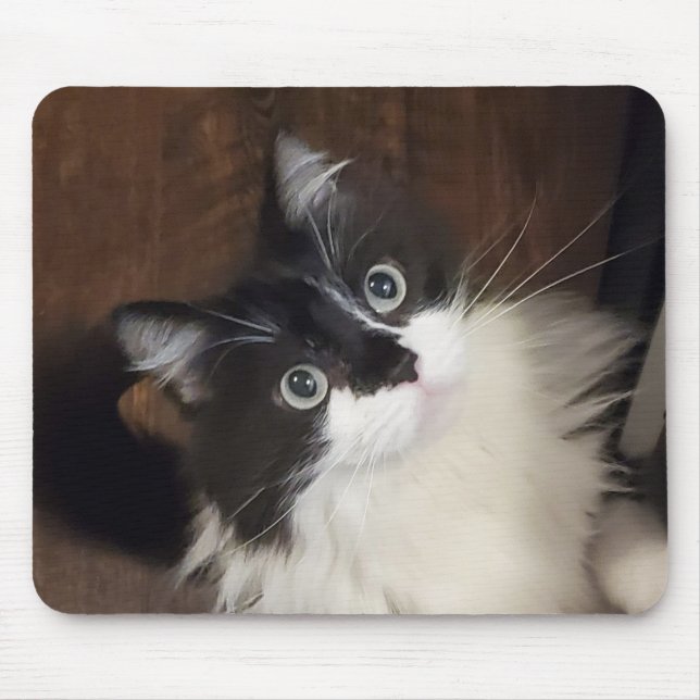 Mousepad As Crônicas de Todd - Pad do Mouse (Frente)