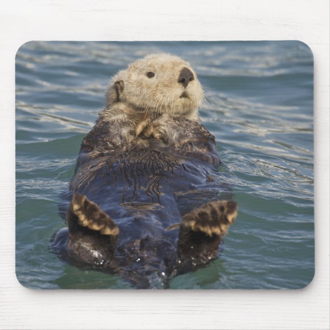 Mousepad As lontras do mar tocam icebergs na Surprise Inlet (Frente)
