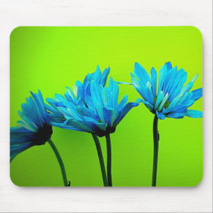 Mousepad As margaridas de turquesa da cerceta no verde