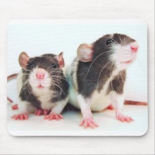 Mousepad As mulheres reais possuem ratos!