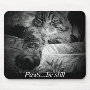 Mousepad As patas… sejam ainda. Gato engraçado