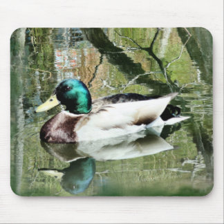 Mousepad As reflexões Mousepad- de Drake do pato selvagem