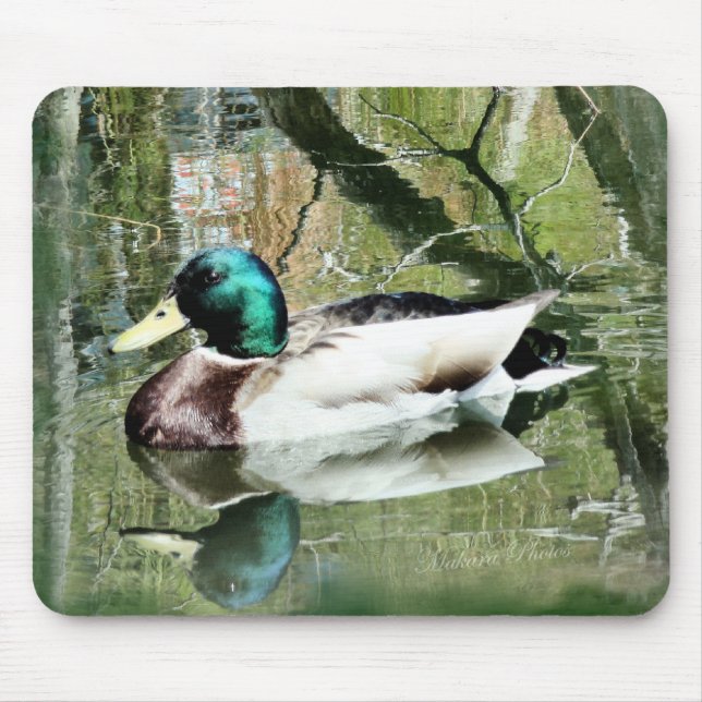 Mousepad As reflexões Mousepad- de Drake do pato selvagem (Frente)