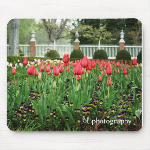 Mousepad As tulipas WM do governador