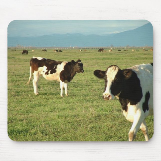 Mousepad as vacas obtiveram o queijo (Frente)