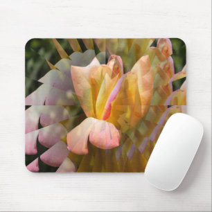 Mousepad Asas de um rosa de Paz......