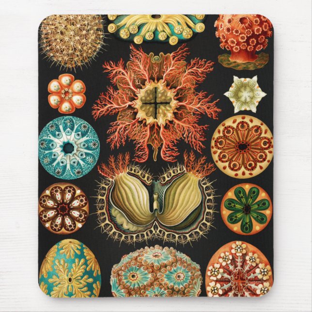 Mousepad Ascidiae, Seescheiden Marine Life, por Ernst Haeck (Frente)
