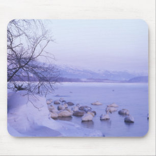 Mousepad Ásia, Japão, Hokkaido, Parque Nacional Akan, Cisne