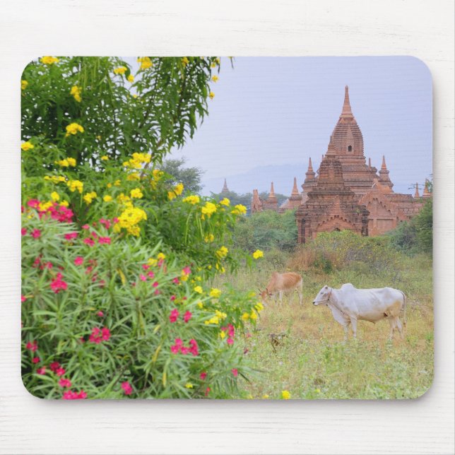 Mousepad Ásia, Mianmar (Birmânia), Bagan (Pagan). Vacas (Frente)