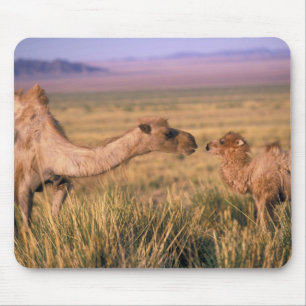 Mousepad Ásia, Mongólia, Deserto de Gobi, Grande Gobi