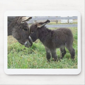 Mousepad asno