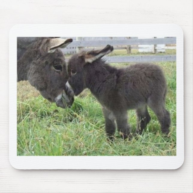 Mousepad asno (Frente)