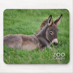 Mousepad Asno na grama