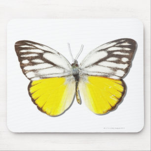 Mousepad Aspasia de Cepora