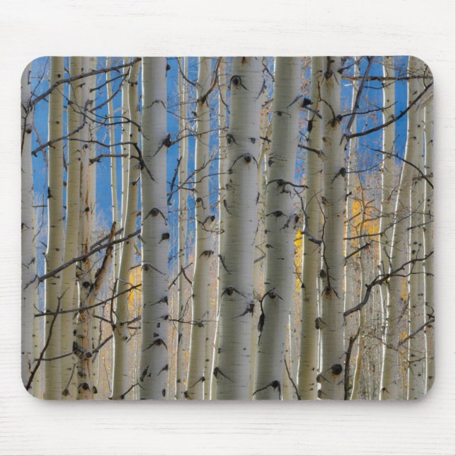 Mousepad Aspen Groves | Montanhas Colorado Rocky (Frente)