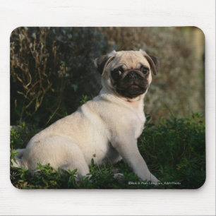 Mousepad Assento do filhote de cachorro do Pug da jovem