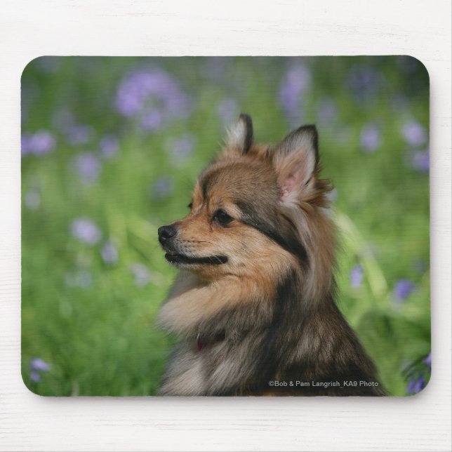 Mousepad Assento do Headshot de Pomeranian (Frente)