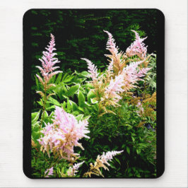 Mousepad Astilbe