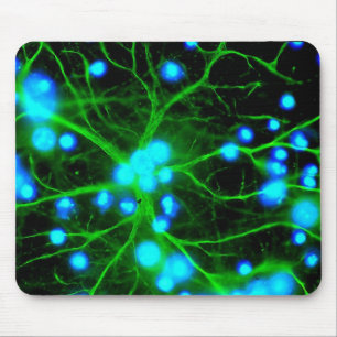 Mousepad Astrocyte são células gliais em forma de estrela n