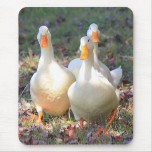 Mousepad Ataque do grasnado