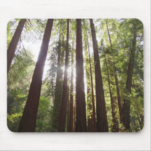 Mousepad Até Sequoias de Manhã