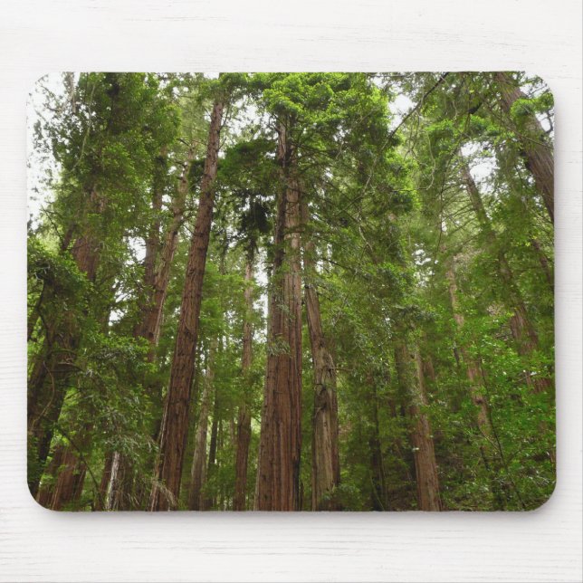 Mousepad Até Sequoias Eu no Monumento Nacional de Muir Wood (Frente)