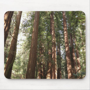 Mousepad Até Sequoias II no Monumento Nacional de Muir Wood