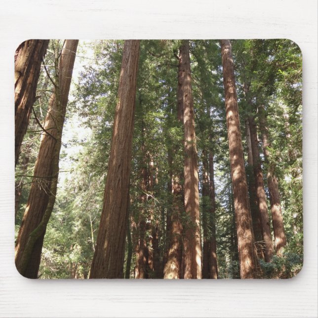 Mousepad Até Sequoias II no Monumento Nacional de Muir Wood (Frente)