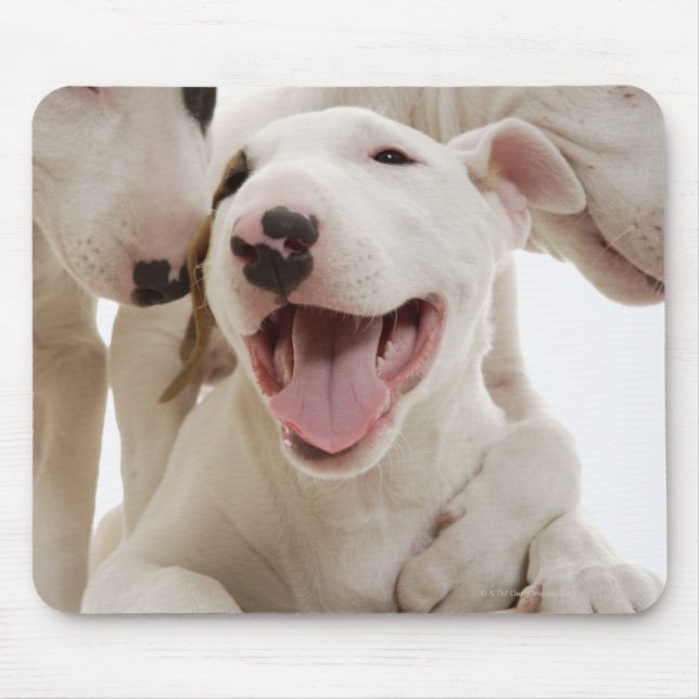 Mousepad Aterradores Joyful Bull (Frente)