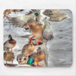 Mousepad Aterrissando Female Mallard Duck Birdlover