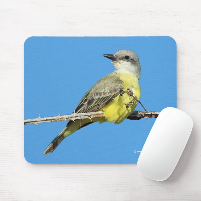 Mousepad Atirada Tropical em Blackberry Branch (Com mouse)