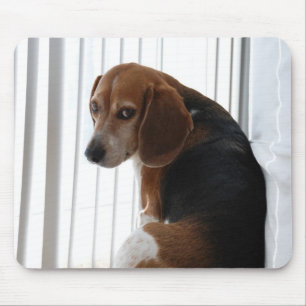Mousepad atitude do lebreiro