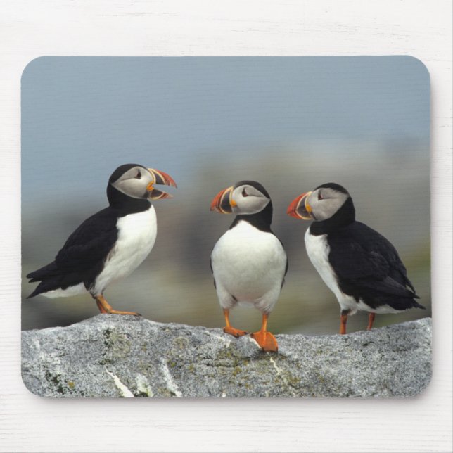 Mousepad Atlantic Puffin Group (Frente)