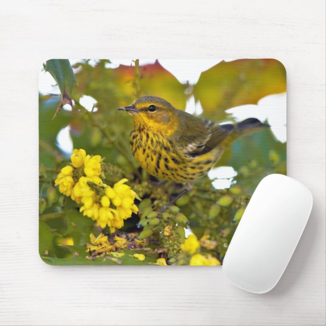Mousepad Atordoamento do Cabo May Warbler Songbird na Mahon (Com mouse)