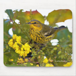 Mousepad Atordoamento do Cabo May Warbler Songbird na Mahon