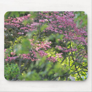 Mousepad Através das árvores