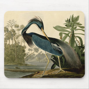 Mousepad Audubon Louisiana Heron Birds América Art