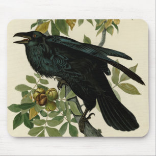 Mousepad Audubon Raven Bird Classic Trabalho de arte