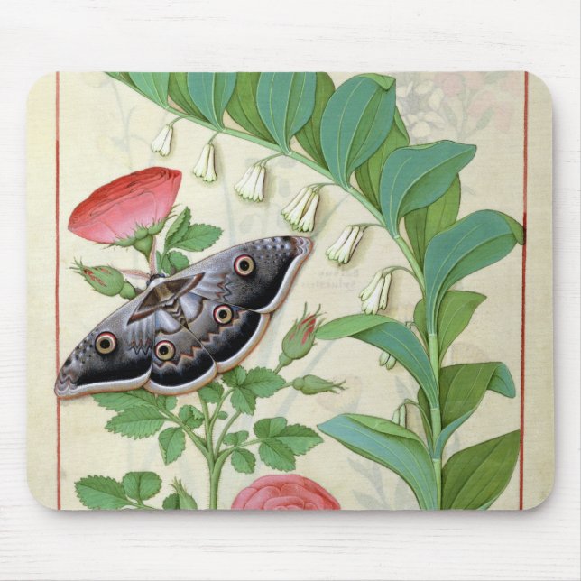 Mousepad Aumentou e o Polygonatum (Frente)