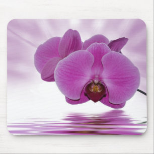 Mousepad Aurora da orquídea
