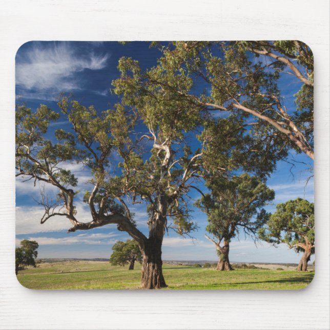 Mousepad Austrália, Vale de Barossa, Monte Pleasant (Frente)